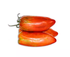 Tom&agrave;quet de Banya o Bitxo